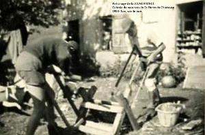 1953 scie, scie le bois 